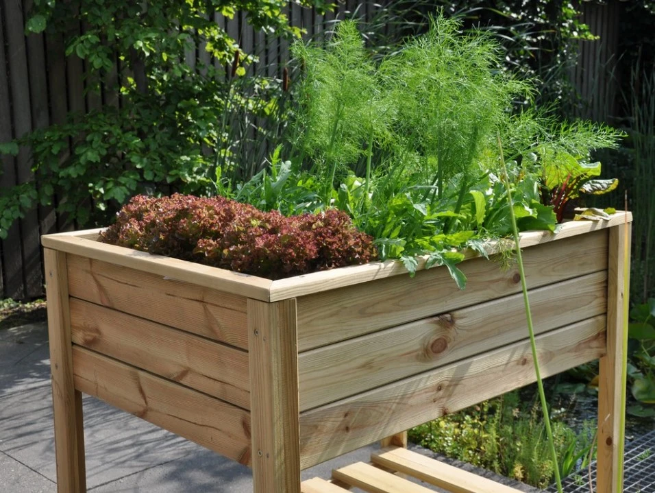 Royal Well Broeikas Planter-On-Wheels 70 x 100 cm - Afbeelding 2